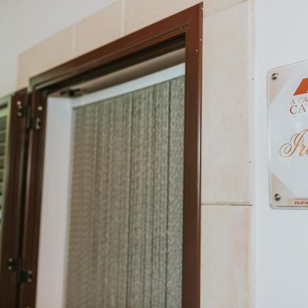 A Casa Da Carla Daire Vieste Dış mekan fotoğraf