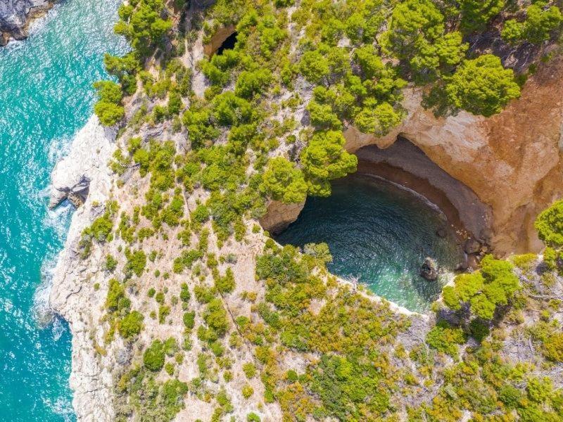 A Casa Da Carla Daire Vieste Dış mekan fotoğraf