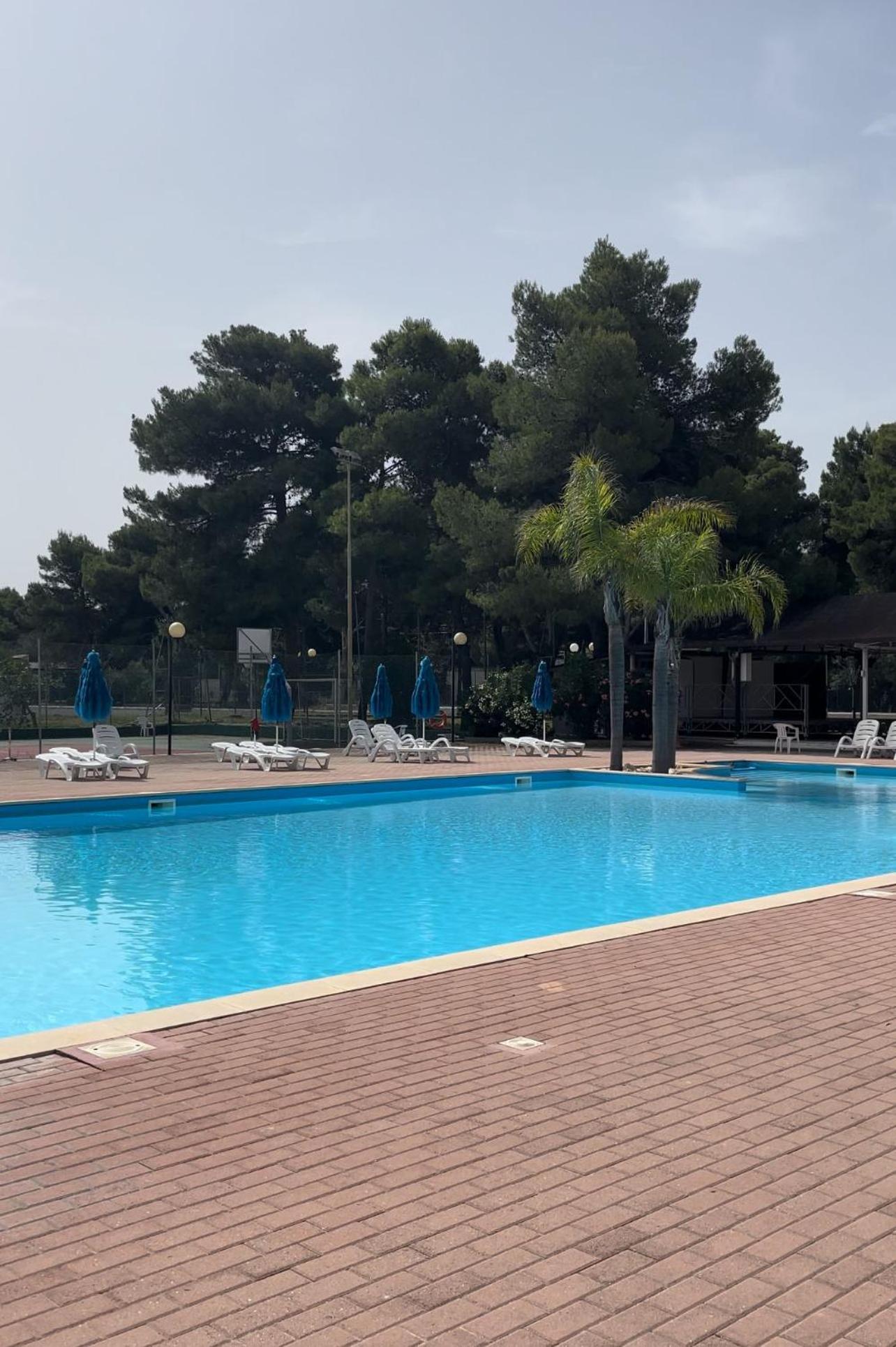 A Casa Da Carla Daire Vieste Dış mekan fotoğraf